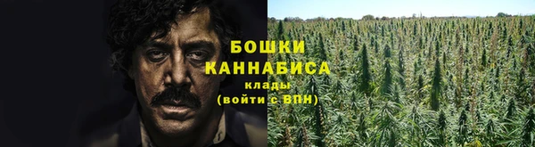 мет Аркадак