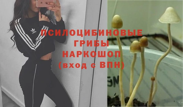 мет Аркадак