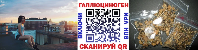 Псилоцибиновые грибы Psilocybe  кракен ссылки  Таштагол 